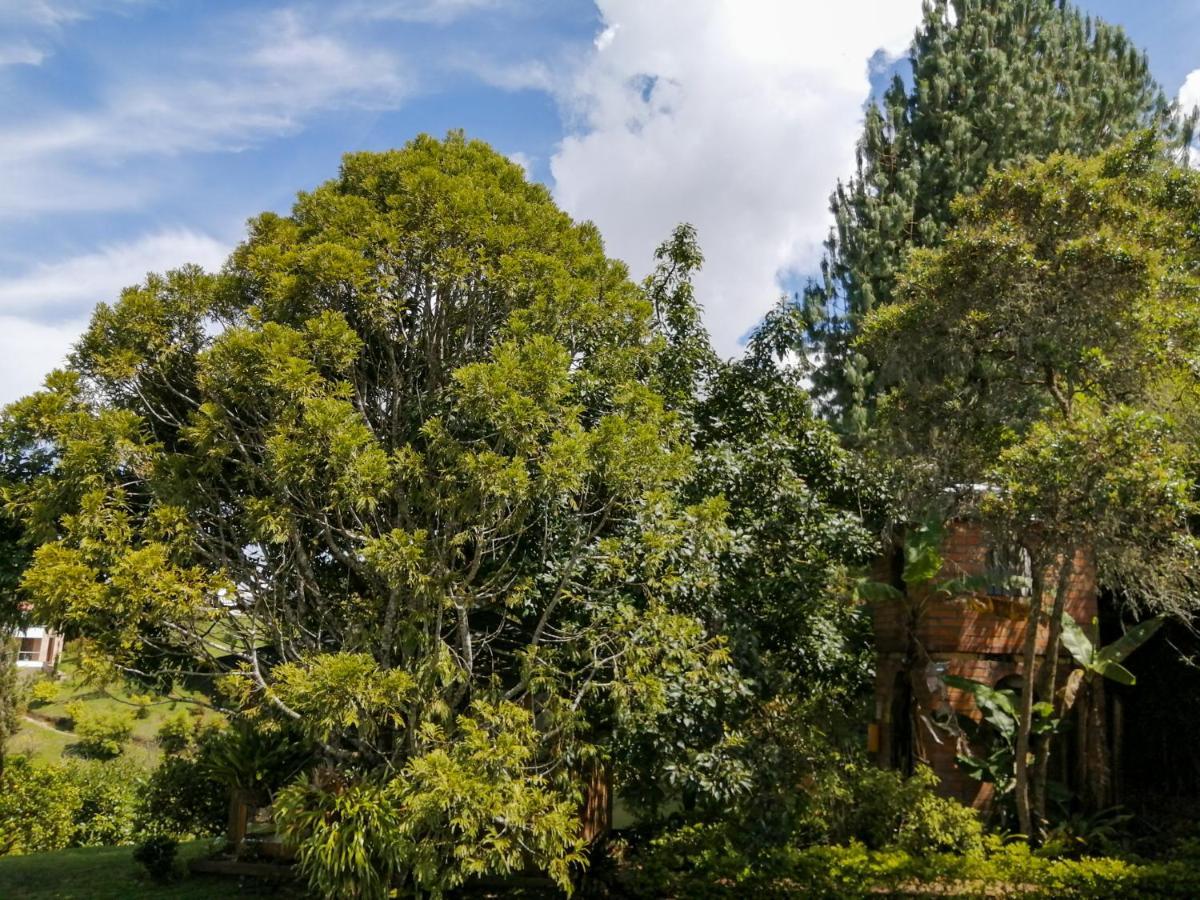 Hevilat Paraiso de Oriente Rionegro Extérieur photo